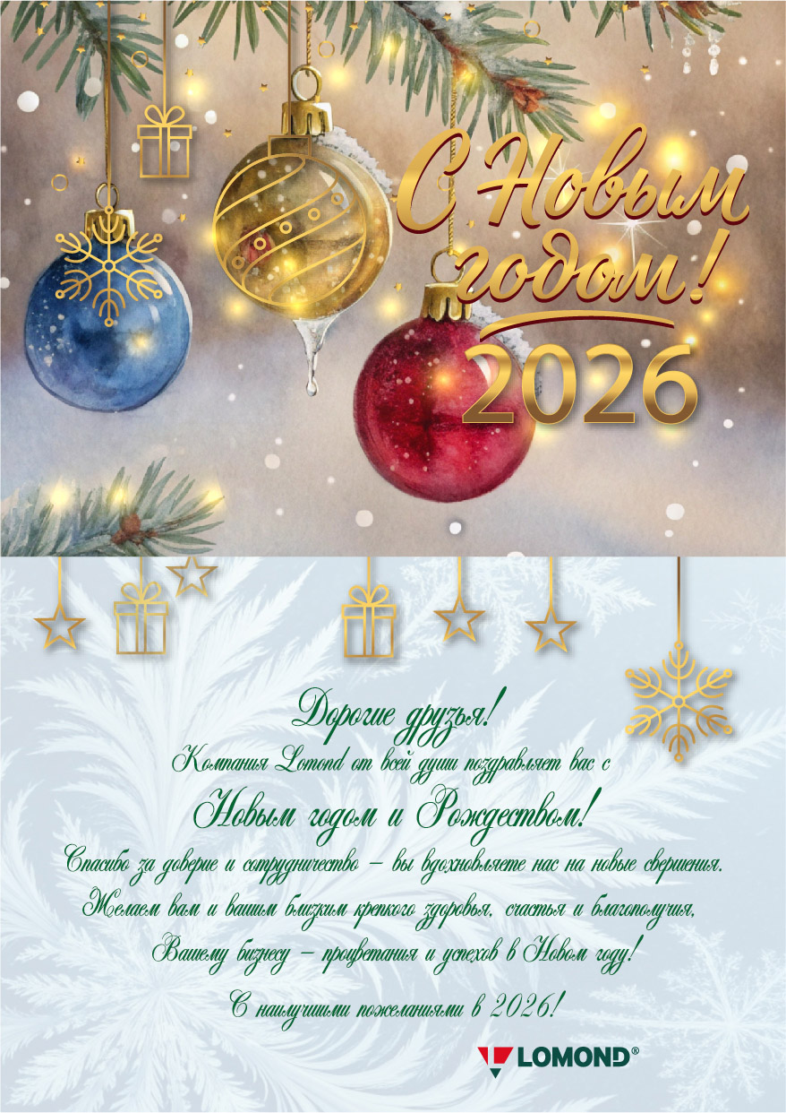 С новым 2026 годом